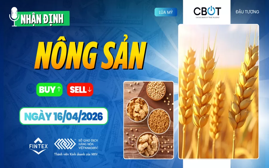NHẬN ĐỊNH THỊ TRƯỜNG NÔNG SẢN NGÀY 16/04/2026